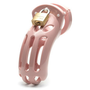 The Curve 3 ¾” Penis Chastity Cage