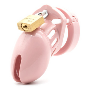 CB-6000S 2½” Penis Chastity Cage