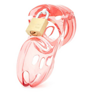 CB-3000 3” Penis Chastity Cage