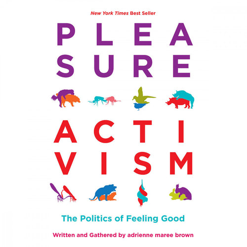 Pleasure Activism: The Politics of Feeling Good